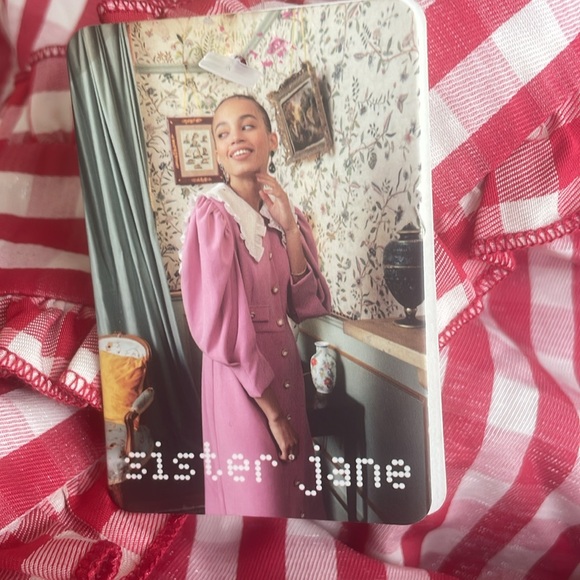 Sister Jane tie front gingham shirt dress in red - Picture 4 of 6
